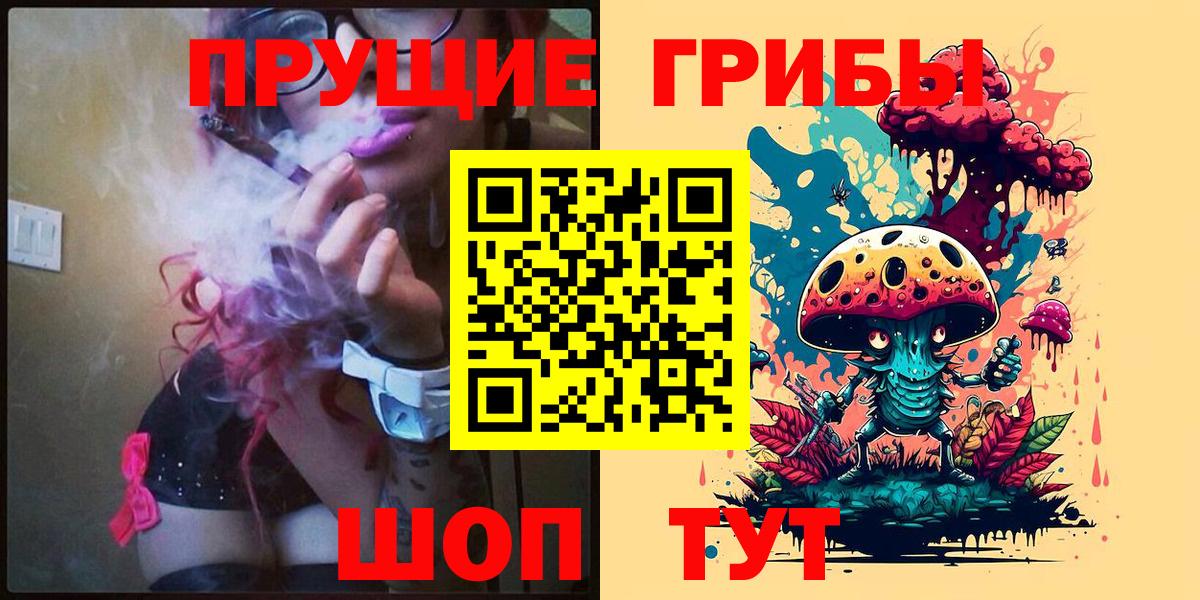 Чернушка  Псилоцибиновые грибы Magic Shrooms  Галлюциногенные грибы прущие грибы  Вход с VPN 